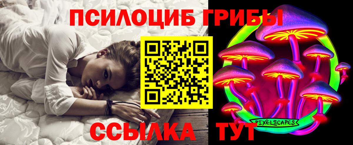 Ачинск  Псилоцибиновые грибы мухоморы  Вход с VPN 