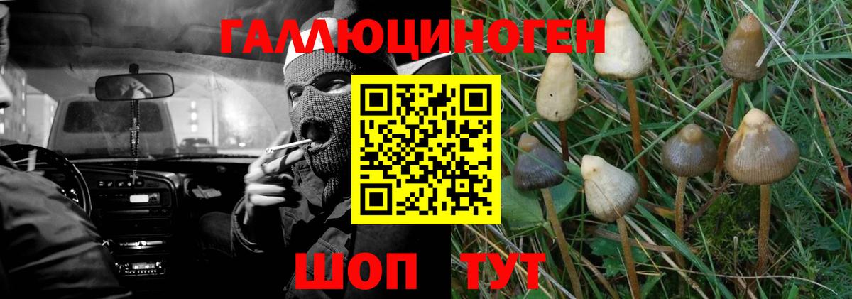 Псилоцибиновые грибы ЛСД Ачинск